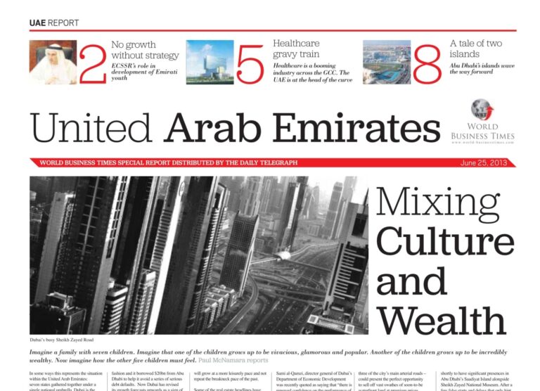 Cover of the UAE Insight June 2013