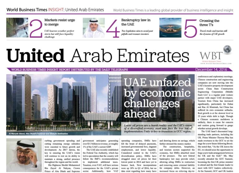 Cover of the UAE Insight Report 2016