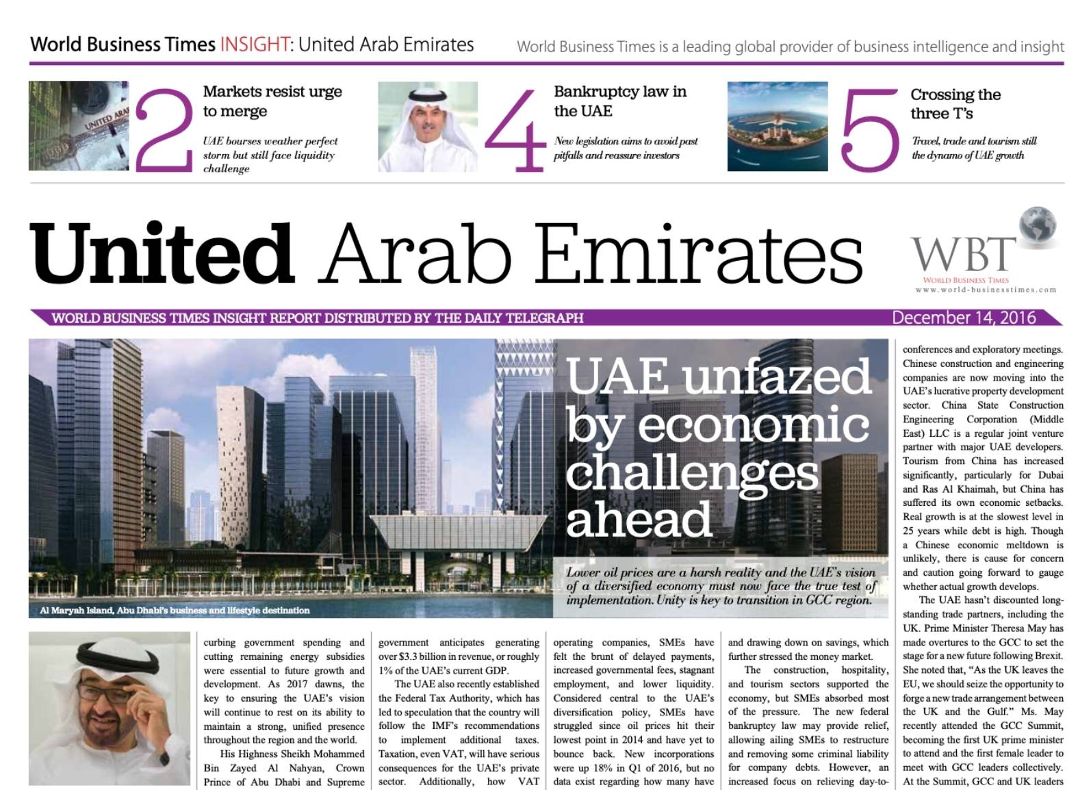 Cover of the UAE Insight Report 2016