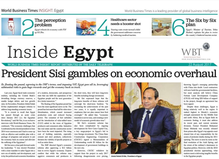 Cover of the Egypt Insight Report 2017