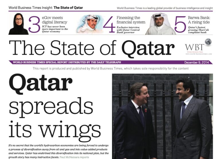 Cover of the Qatar Insight Report 2014