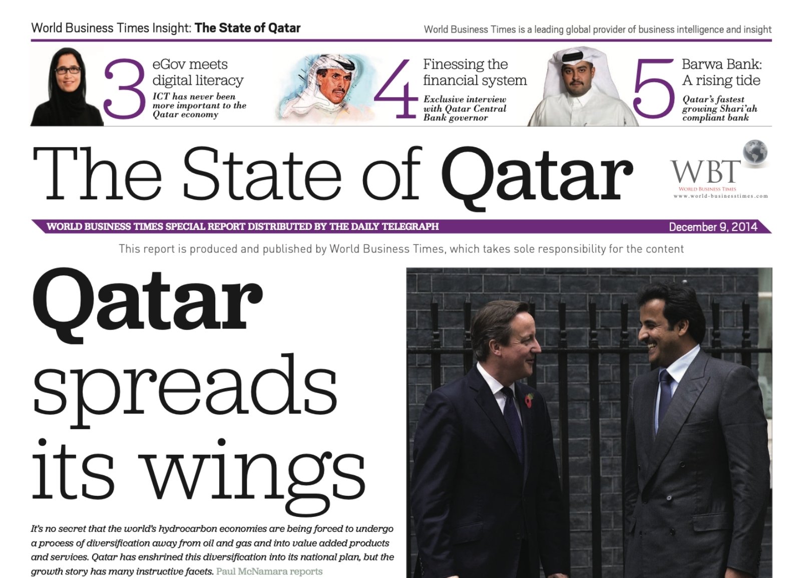 Cover of the Qatar Insight Report 2014