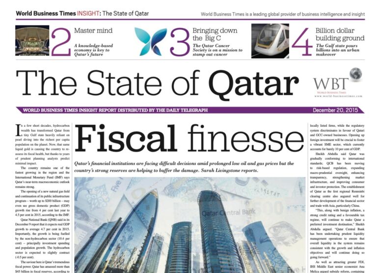 Cover of the Qatar Insight Report 2015